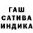 Конопля индика Mr. DANTERA