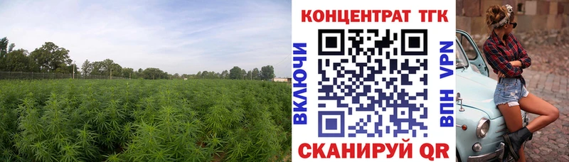 ТГК концентрат Черемхово