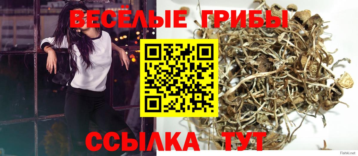 Галлюциногенные грибы GOLDEN TEACHER  Вход с VPN  Псилоцибиновые грибы GOLDEN TEACHER  Черемхово 